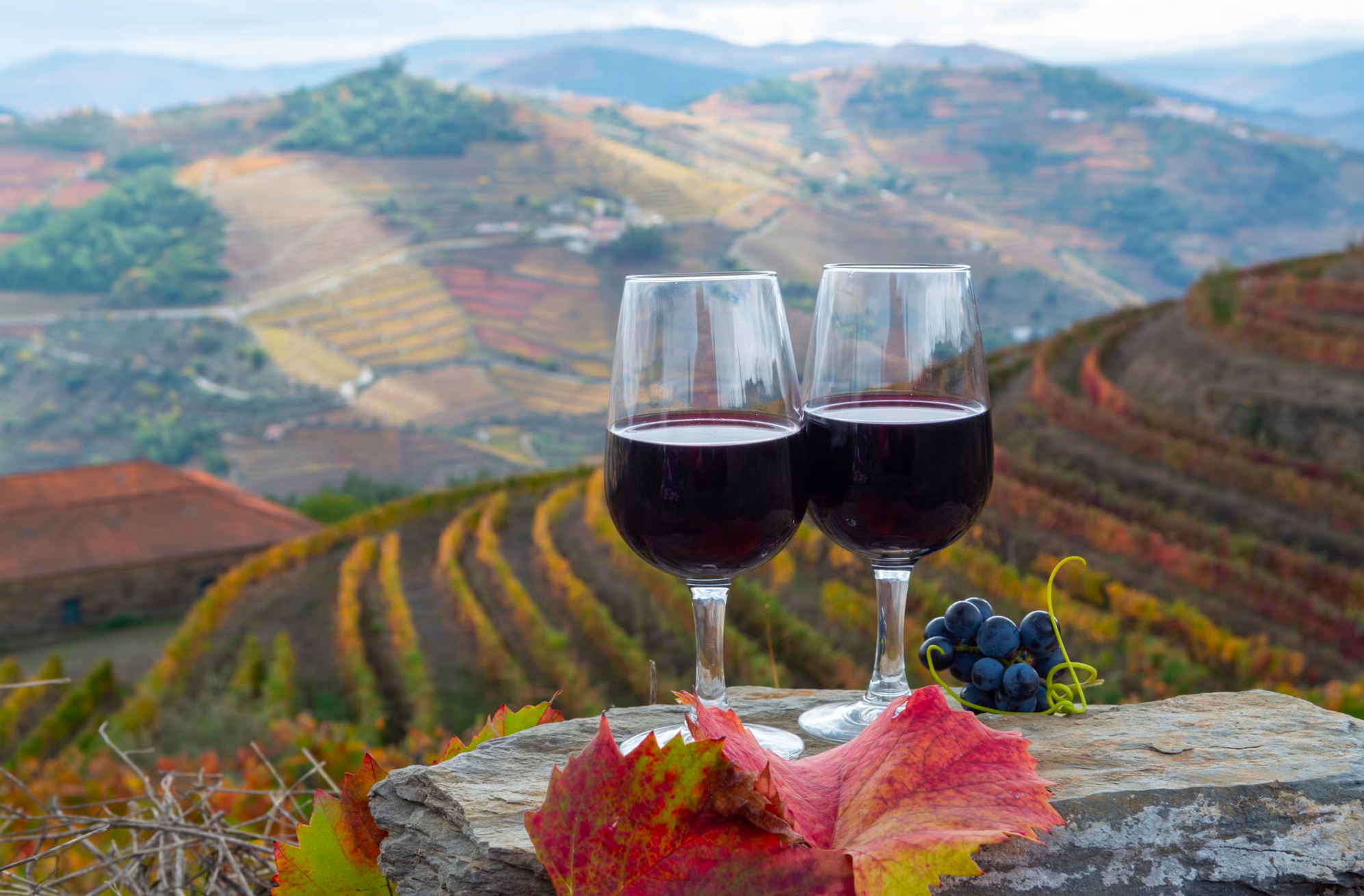 Douro Valley